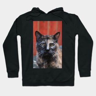 Lady Rosie Hoodie